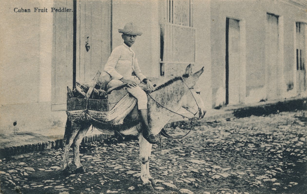 Kubánský obchodník s ovocem, c1908 od Unbekannt