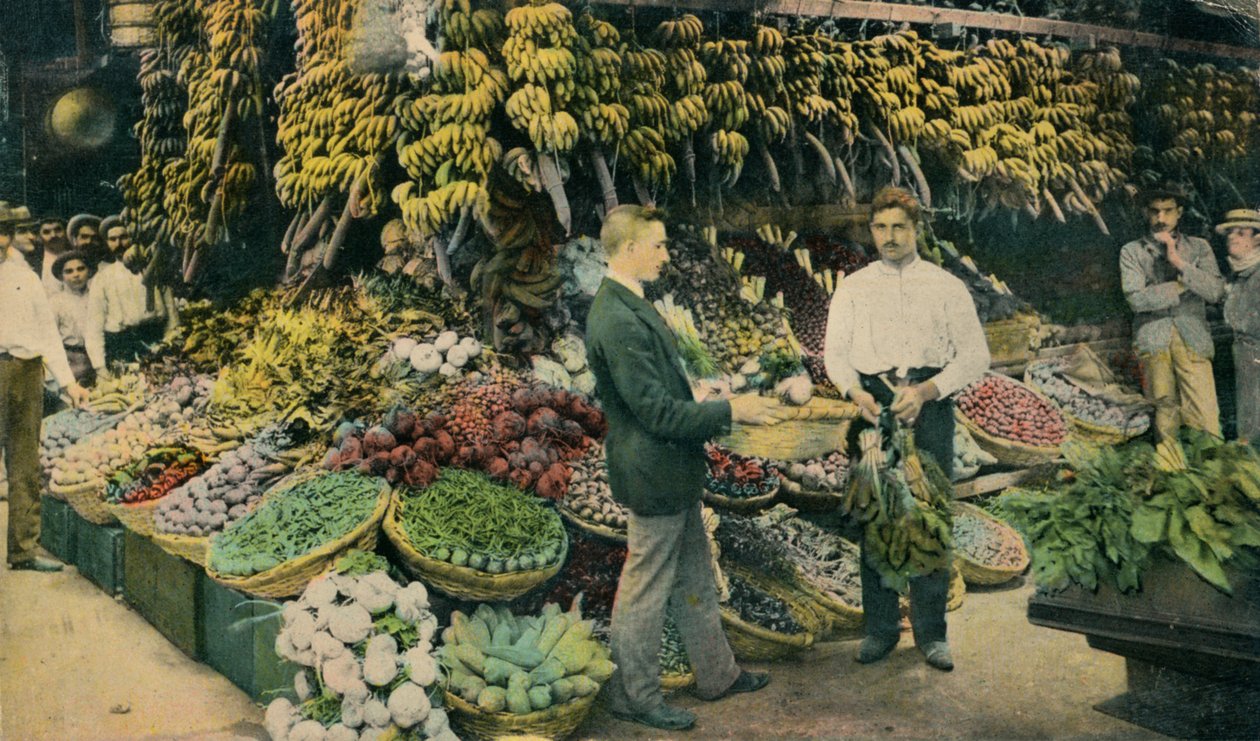 Kubánský obchod s ovocem, c1910 od Unbekannt