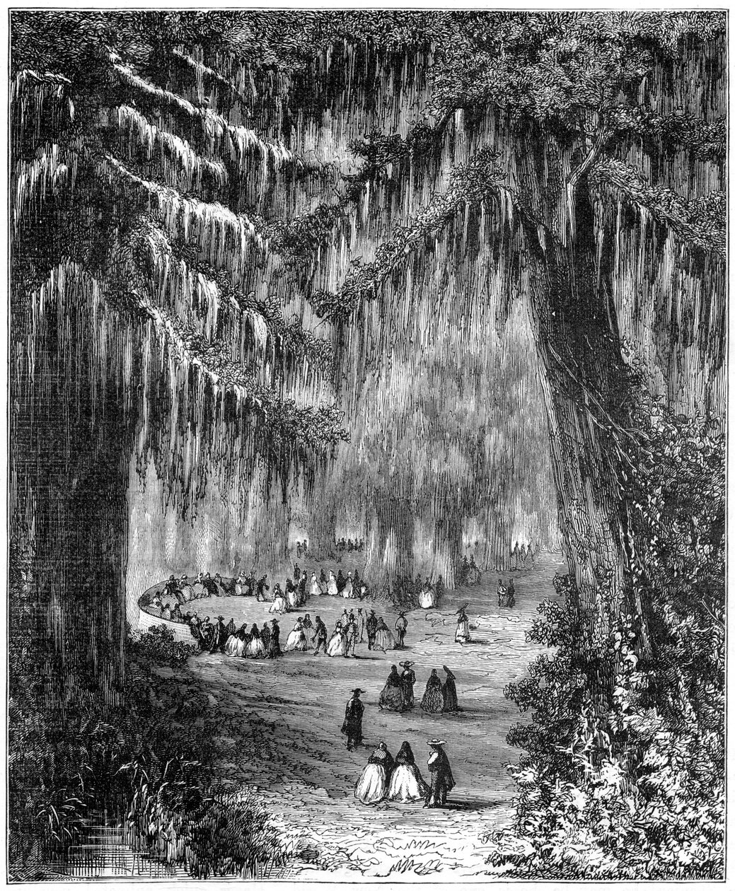 Cypřišový háj v Chapultepec, Mexico City, 1877 od Unbekannt