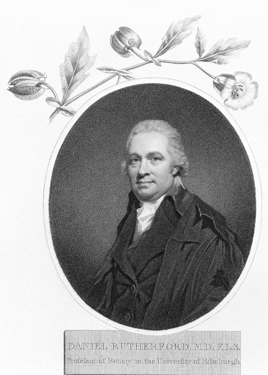 Daniel Rutherford, konec 18. století od Unbekannt