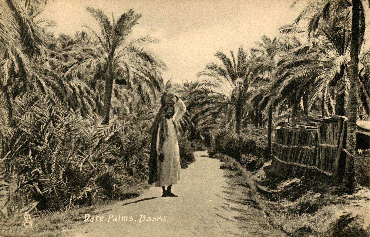 Datlovník, Basra, c1918-c1939. od Unbekannt