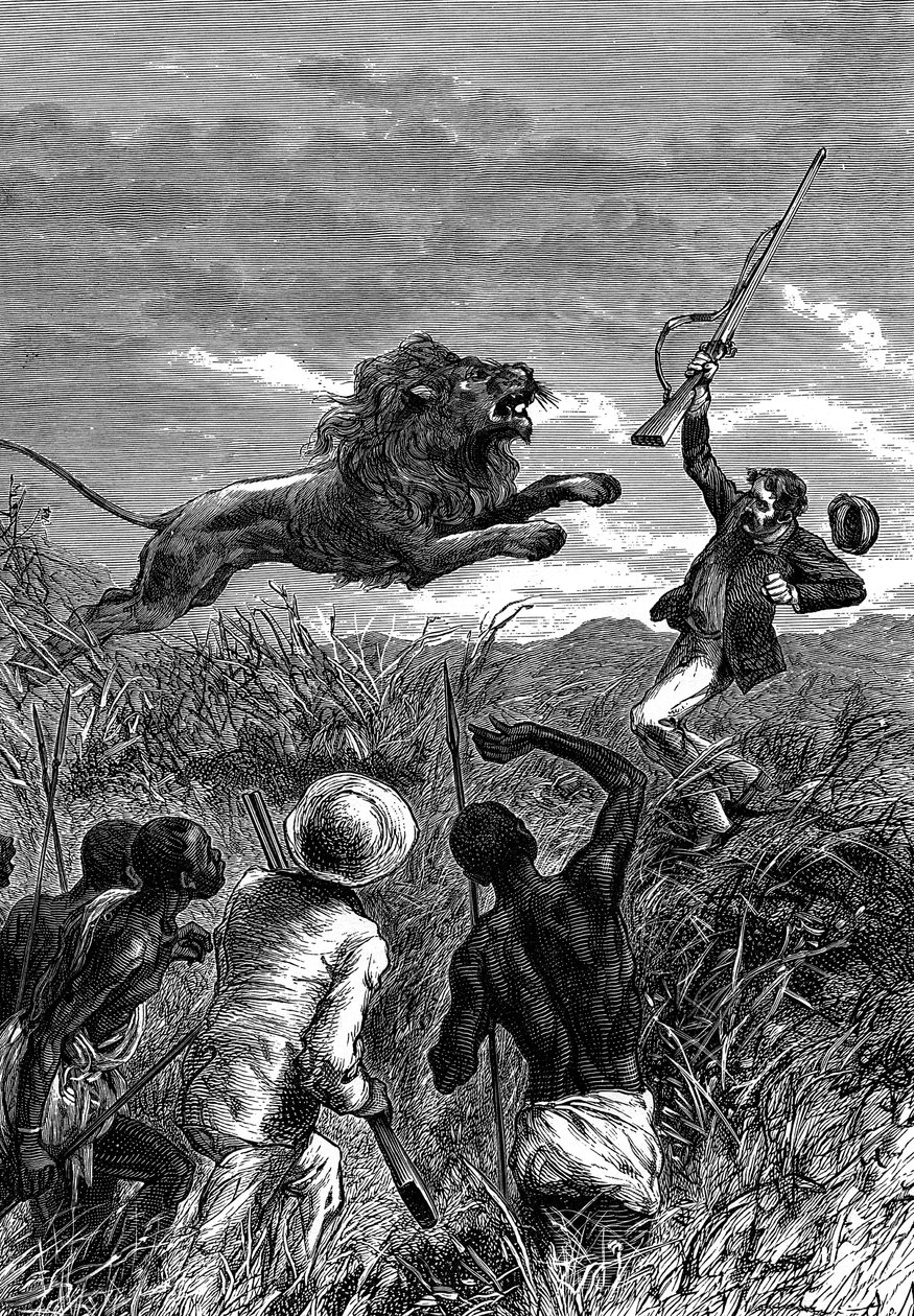 David Livingstone, skotský misionář a africký průzkumník, nabitý lvem, c1860 od Unbekannt