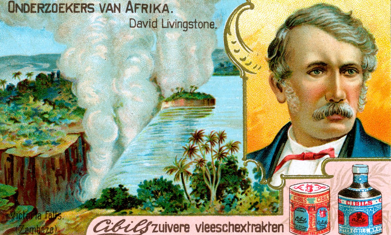 David Livingstone, skotský misionář, c1900 od Unbekannt