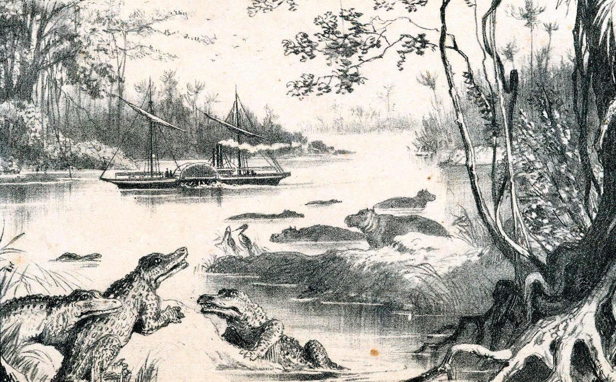 David Livingstone plavící se po Zambezi v Africe, 1852-1864, 1878 od Unbekannt