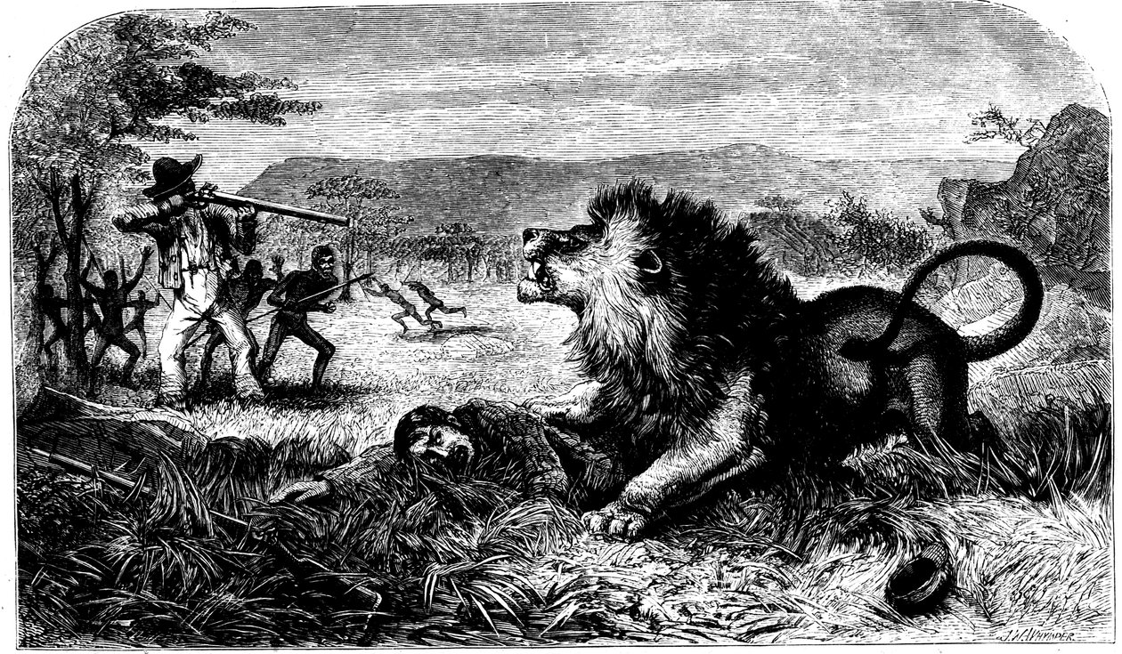 David Livingstone, zachráněný před lvem Mebalwem, rodilým učitelem, 1857 od Unbekannt
