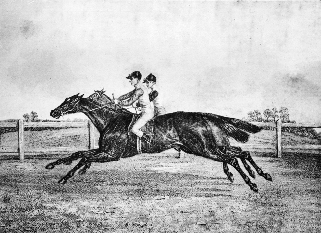 Dead-Heat mezi Lanercost a Beeswing, 1835-1850, 1911 od Unbekannt