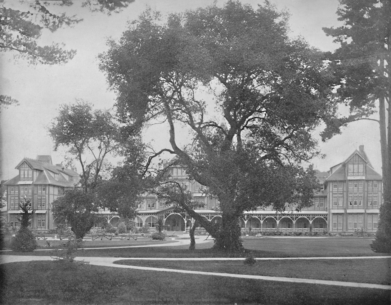 Del Monte, Monterey, Kalifornie, c1897. od Unbekannt