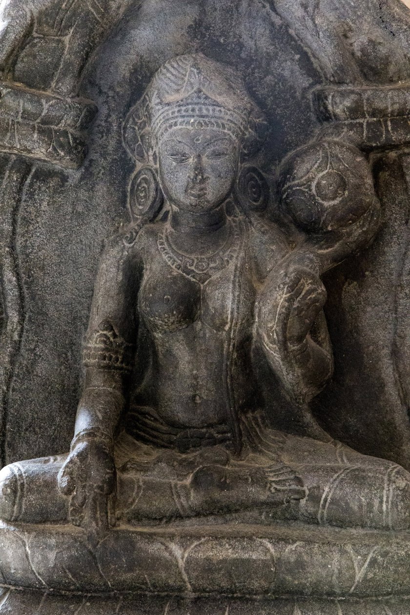 Národní muzeum v Dillí. Gaja-Lakshmi (sloni sprchující vodu na bohyni Lakshmi). Pala, 9. století našeho letopočtu Bihar. Kámen. Detail. Indie. od Unbekannt