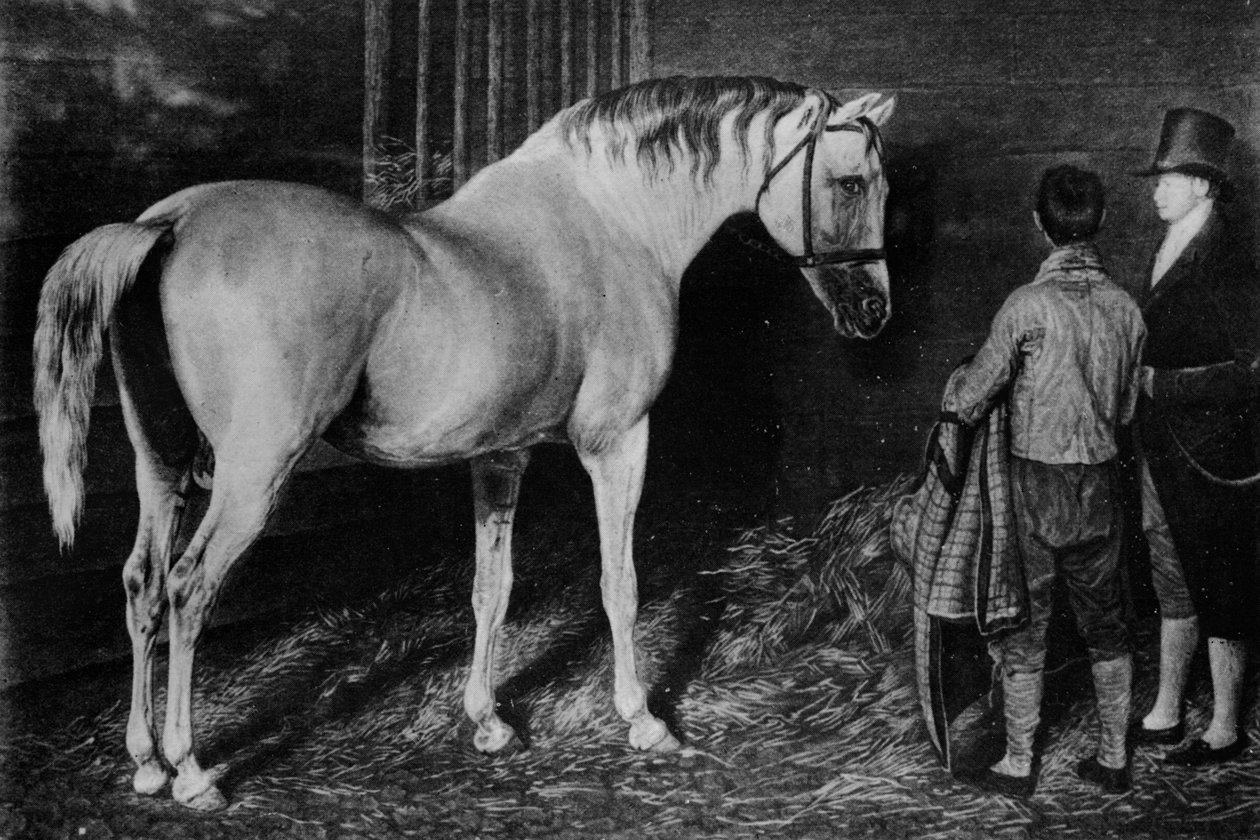 Delpini a panoš Wharton z hradu Skeleton, 18. století, 1911 od Unbekannt