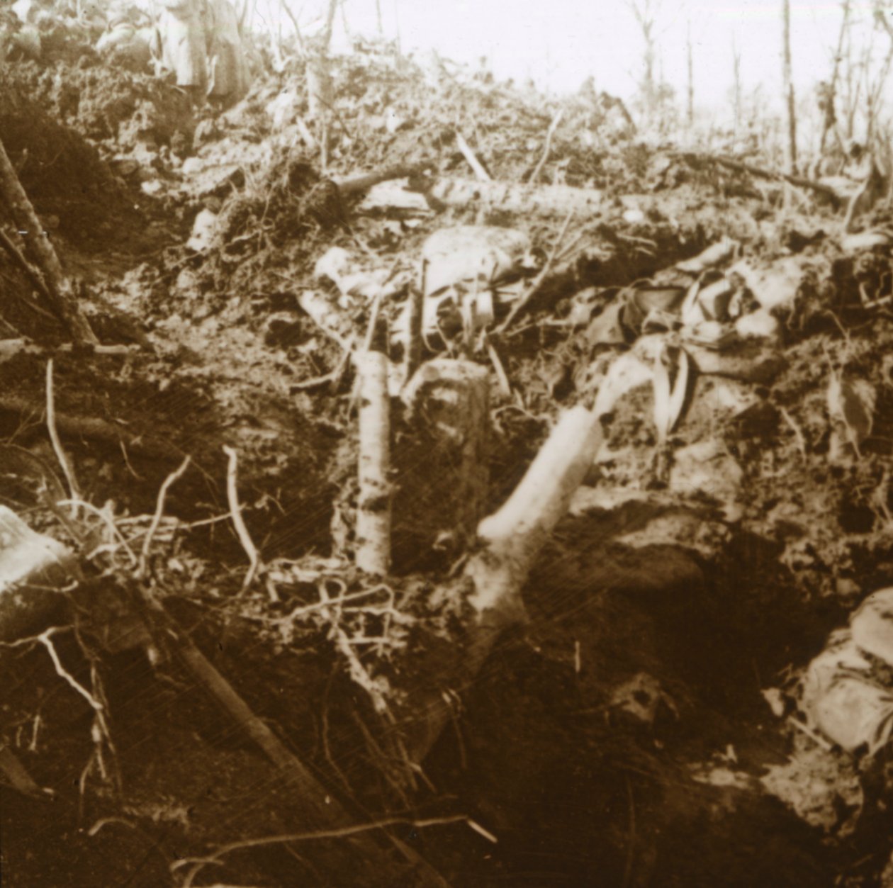 Zničený kryt, Les Éparges, severní Francie, 1915. od Unbekannt