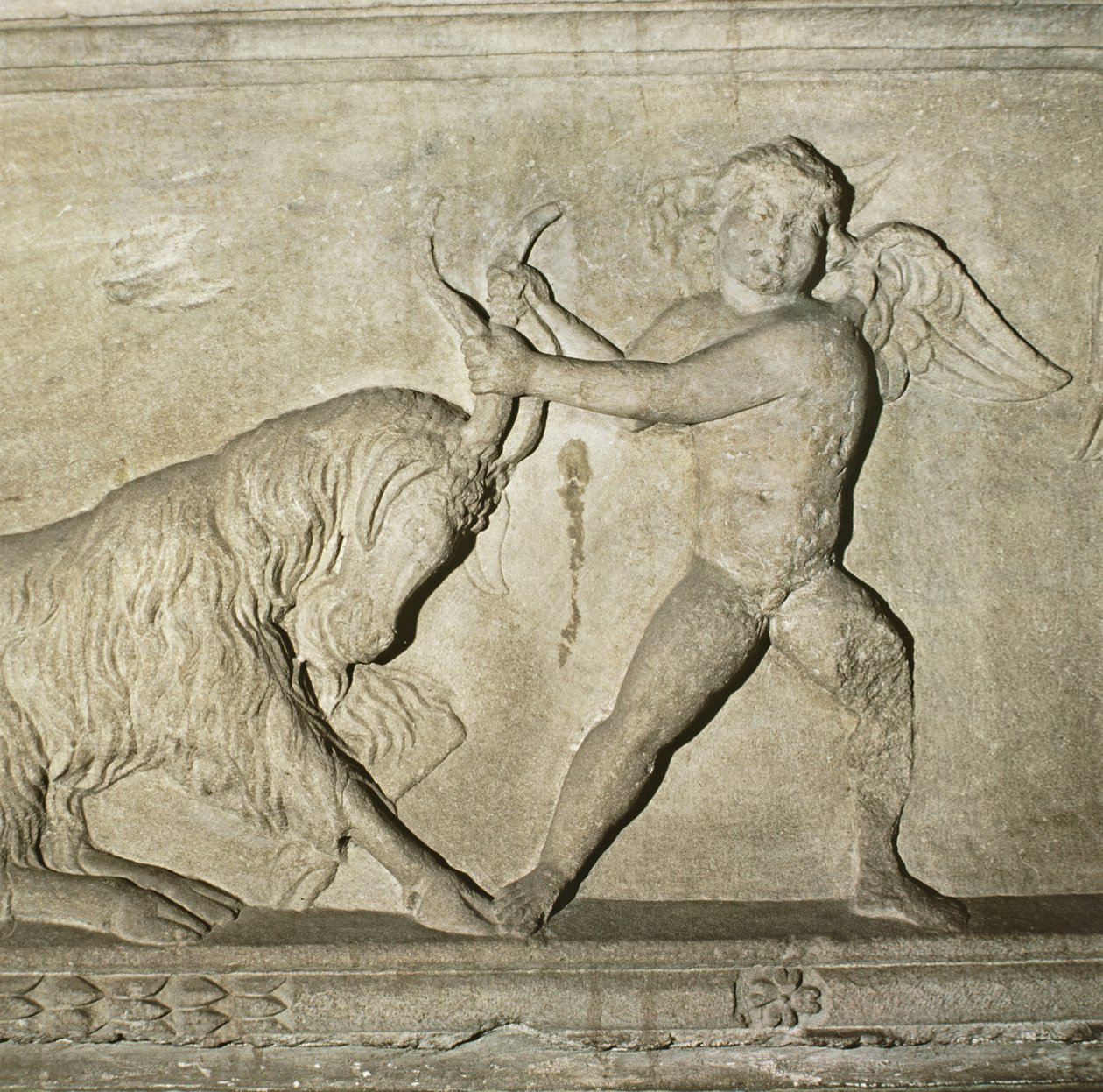 Detail z řeckého sarkofágu z Lydie, zobrazující putta zápasícího s kozou (mramor) od Unbekannt