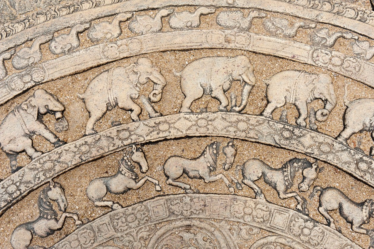 Detail; historický kamenný reliéf; měsíční kámen se zvířecími vyobrazeními; sloni; koně; kámen na schodišti; Radní síň krále Parakrama Bahu I.; vnitřní městský obvod; Polonnaruwa; Srí Lanka; Asie od Unbekannt