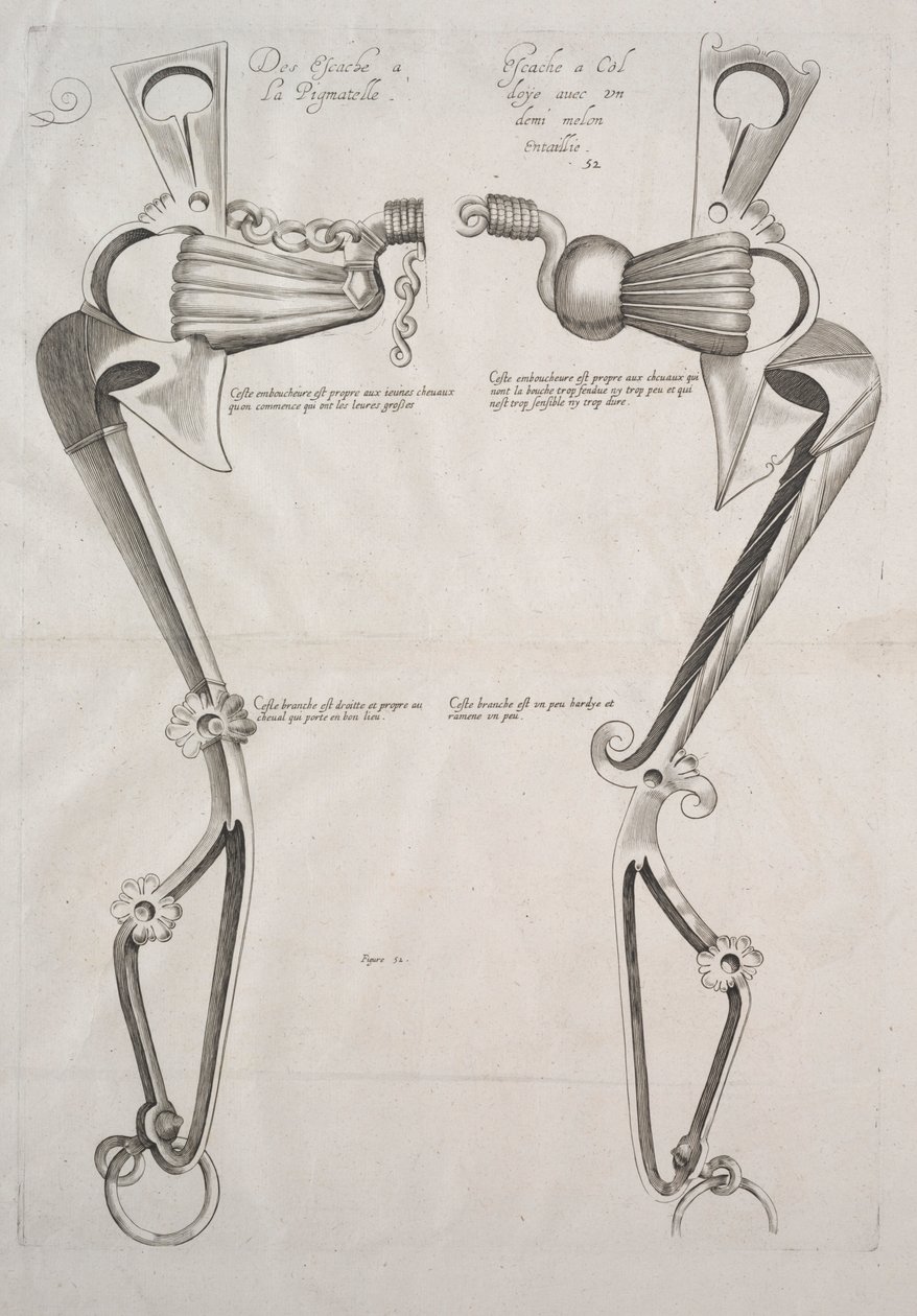 Diagram pro koně Bit, 1700s. od Unbekannt
