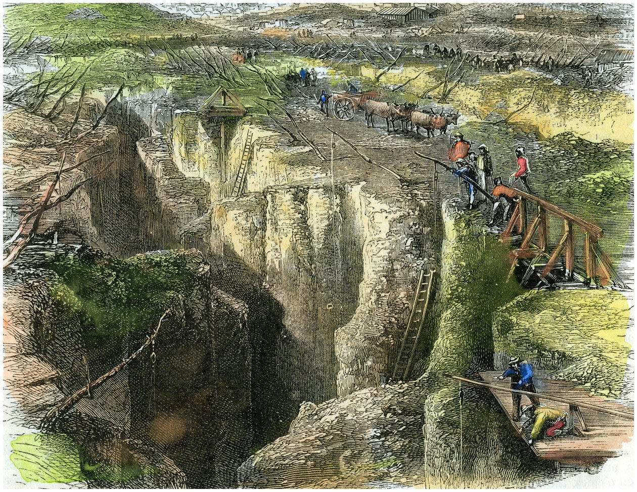 Diamantové pole, c1880 od Unbekannt