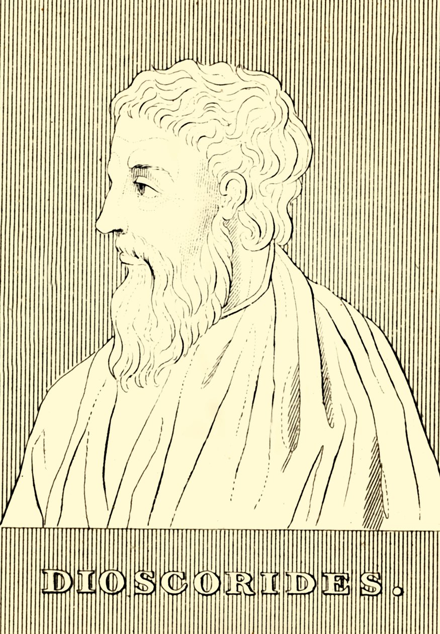 Dioscorides, c40-90 našeho letopočtu, 1830. od Unbekannt