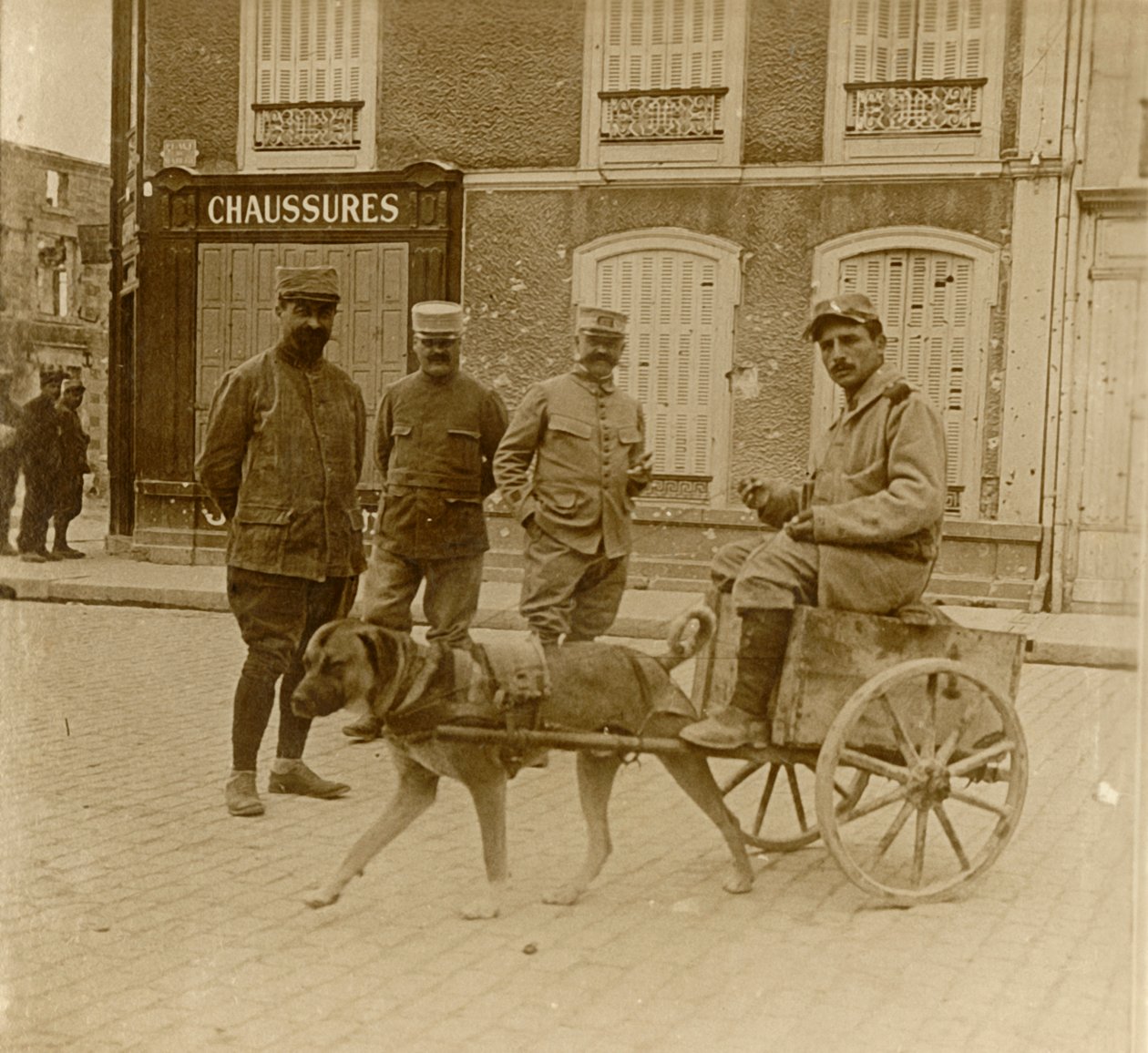 Psí vozík, Francie, c1914-c1918 od Unbekannt
