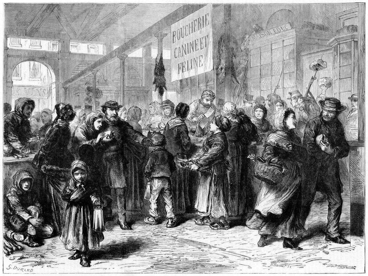 Řezník psího a kočičího masa v Paříži, francouzsko-pruská válka, 1871 od Unbekannt