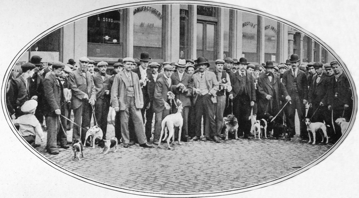 Prodejci a kupci psů v East End, Londýn, c1900 1901 od Unbekannt