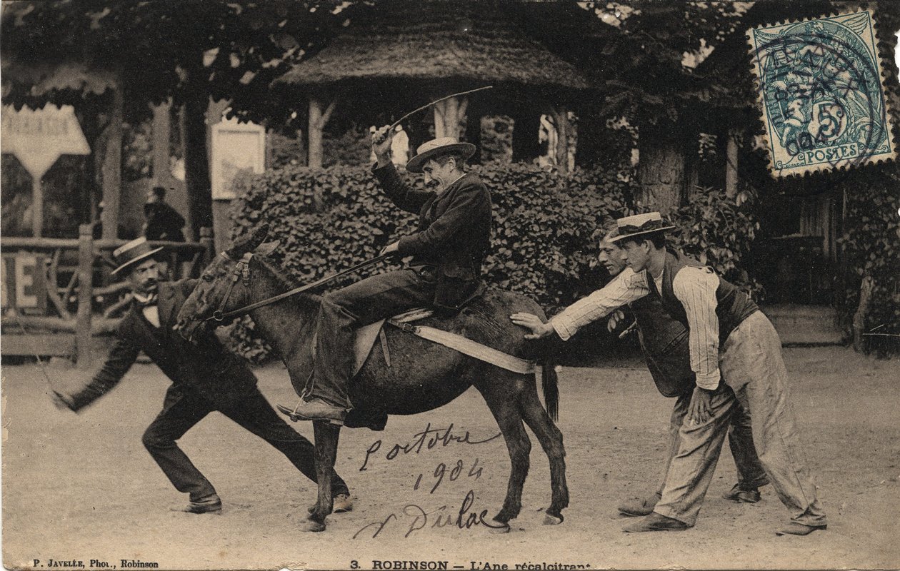 Donkey Tetu and Recalcitrant - Pohlednice z roku 1904 od Unbekannt