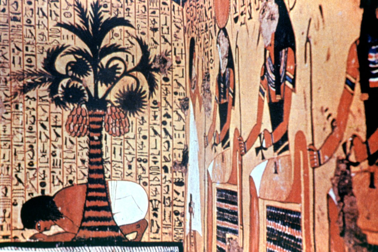 Pití z řeky, nástěnná malba chrámu, Théby, Egypt od Unbekannt