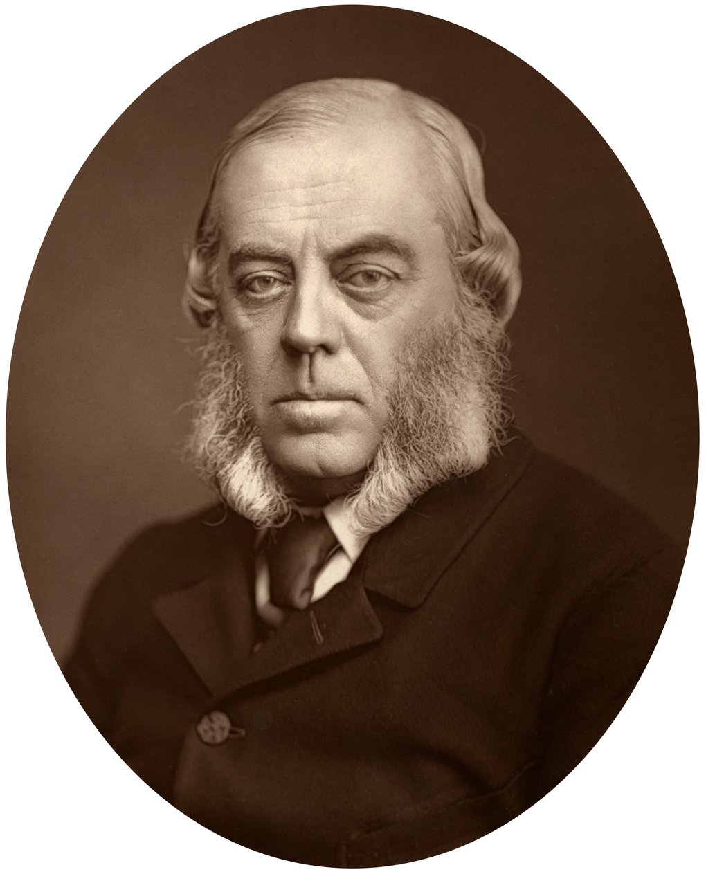 Vévoda z Marlborough, lord poručík Irska, 1881 od Unbekannt