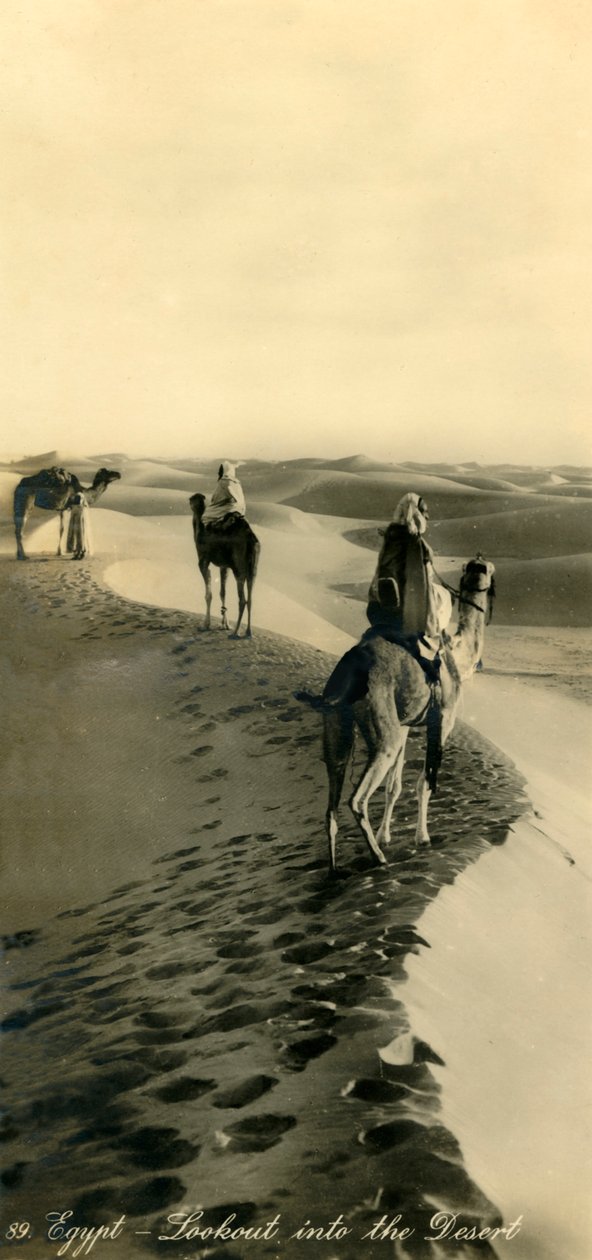 Egypt – Vyhlídka do pouště, c1918-c1939. od Unbekannt