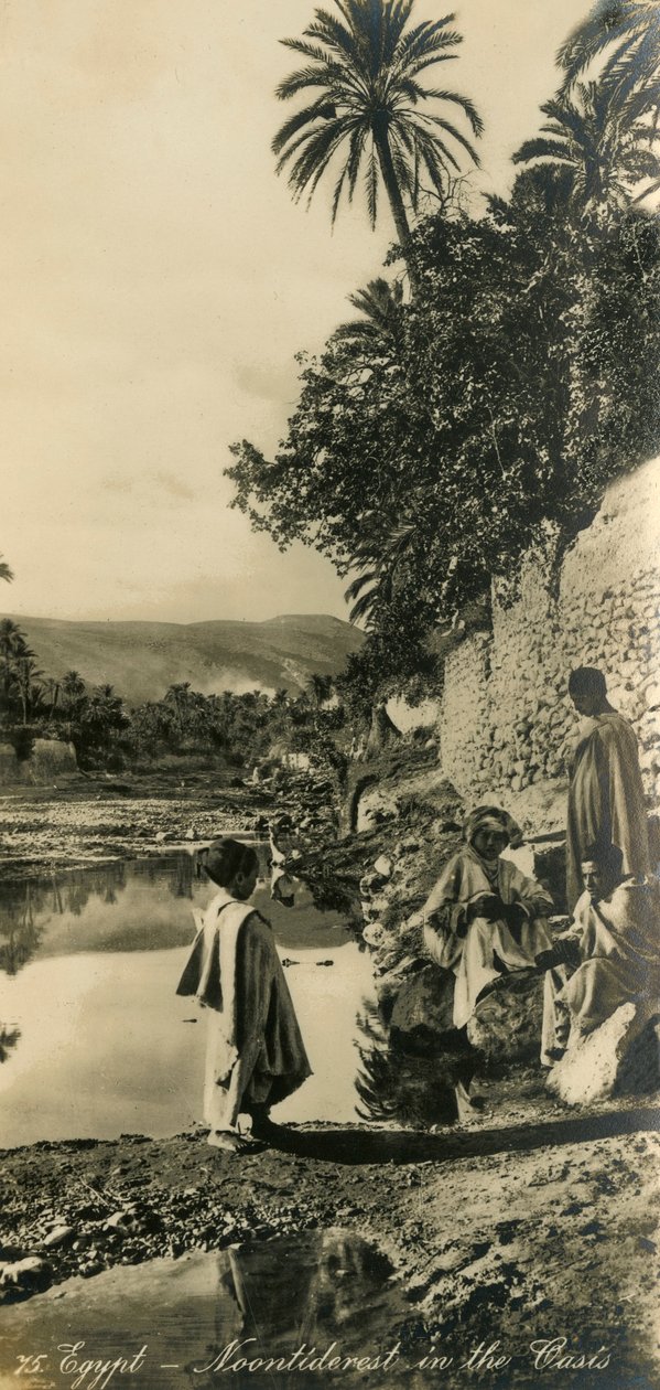 Egypt – Noontiderest v oáze, c1918-c1939. od Unbekannt