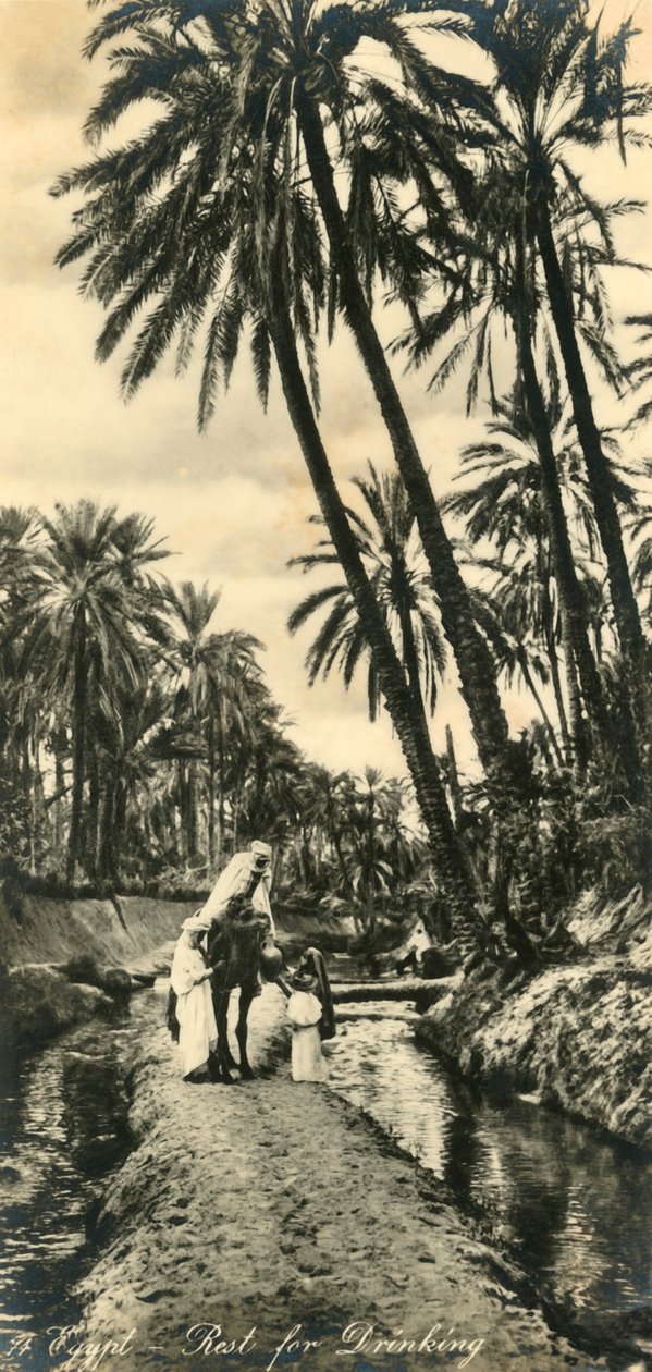 Egypt - Odpočinek k pití, c1918-c1939. od Unbekannt