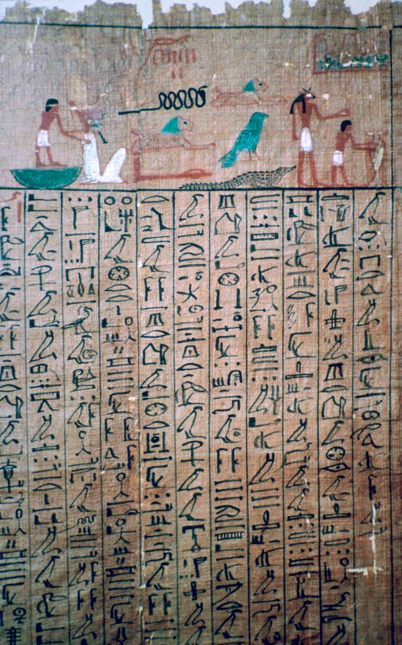 Egyptské hieroglyfy z Knihy mrtvých od Unbekannt