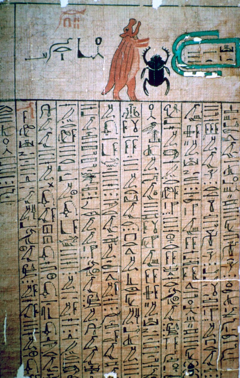 Egyptské hieroglyfy z Knihy mrtvých od Unbekannt