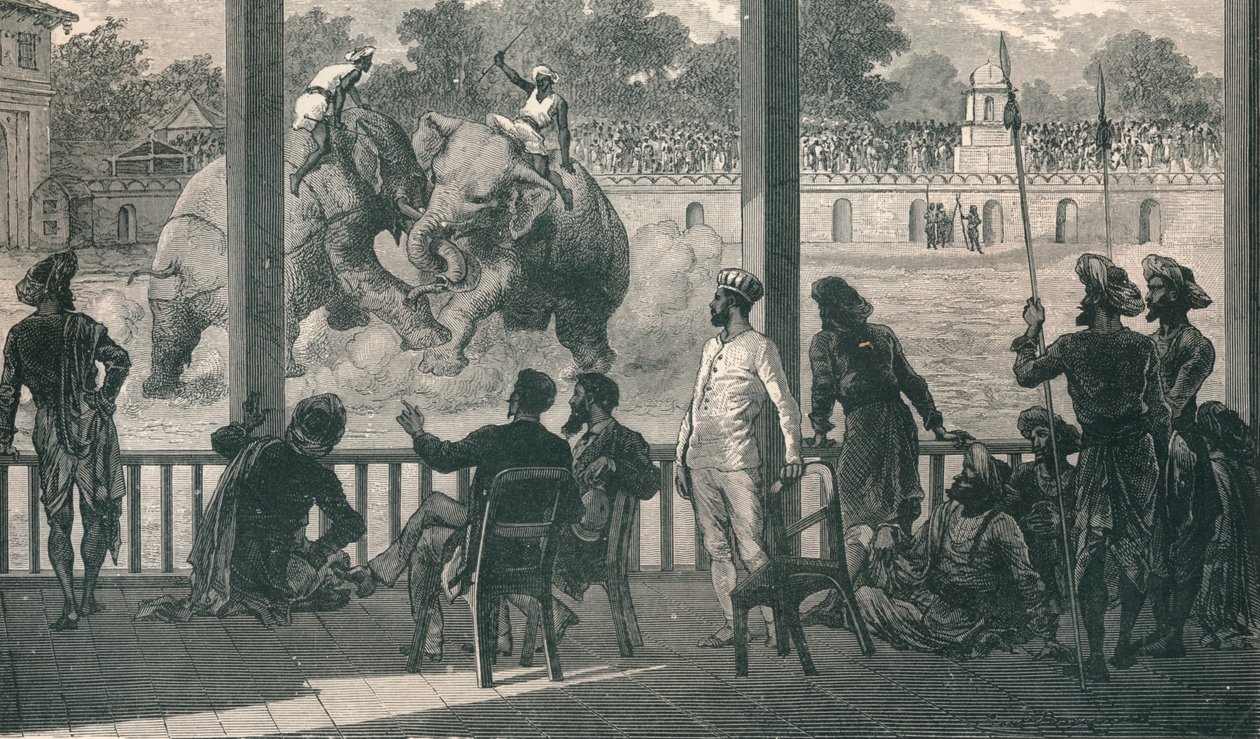 Sloní boj na Barodě, 1896 od Unbekannt