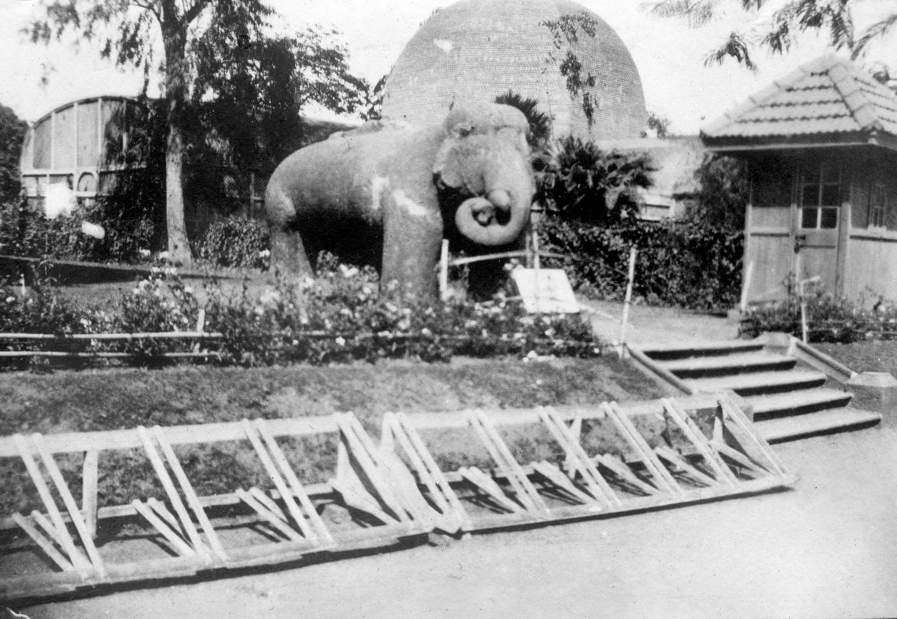 Socha slona, Victoria Gardens, Bombay, Indie, c1918 od Unbekannt