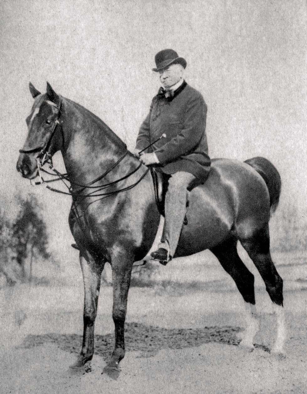Emile de Girardin , francouzský novinář, publicista a politik, 1866 od Unbekannt