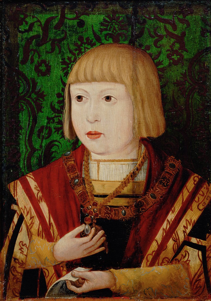 Císař Ferdinand I. 1503-1564 ve věku deseti nebo dvanácti let, c. 1520 od Unbekannt