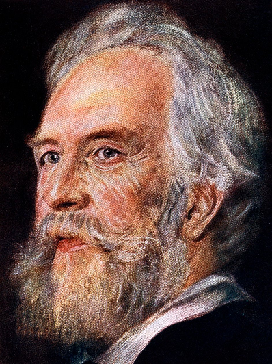 Ernst Haeckel, německý zoolog a evolucionista, 1899 od Unbekannt