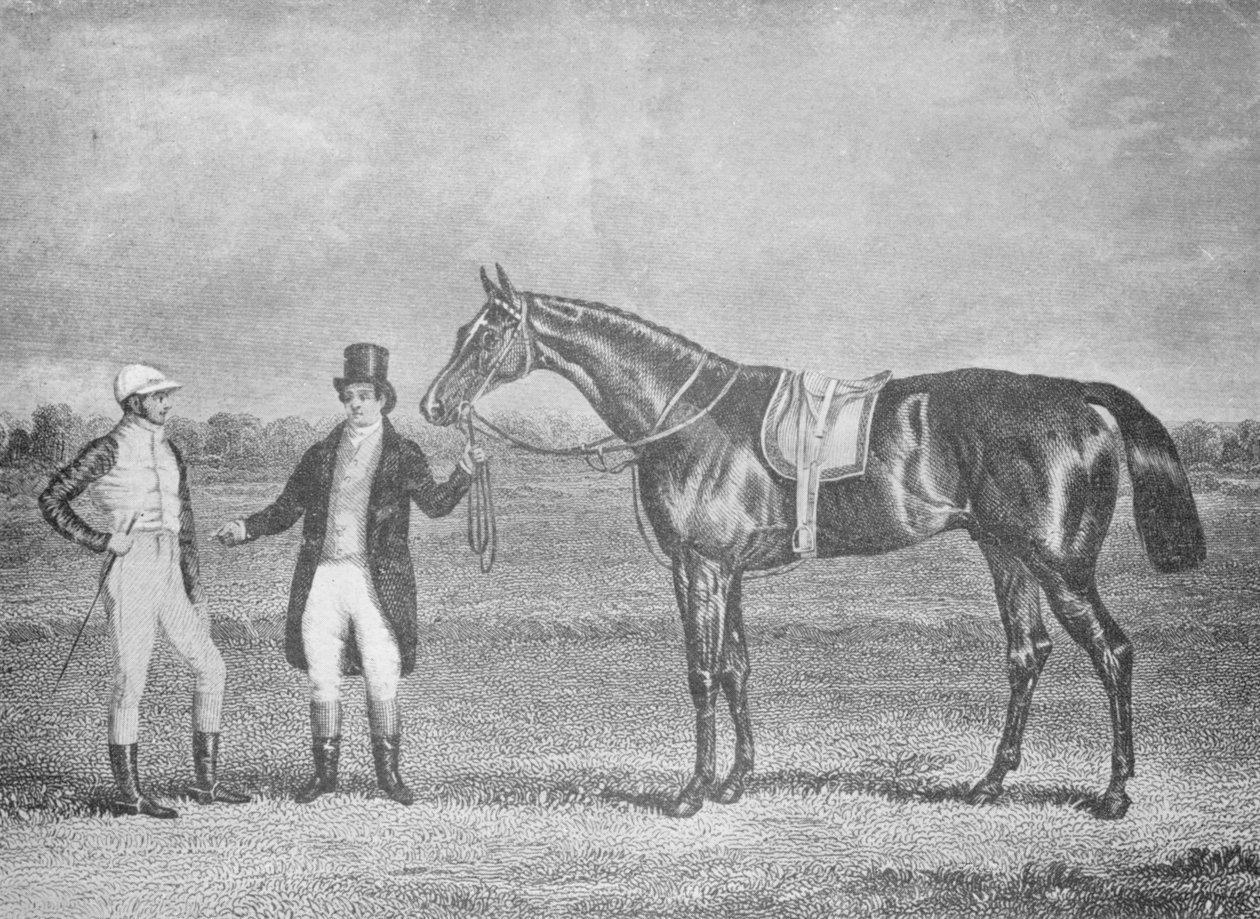 Euclid, druhý v St. Leger, 1839, po mrtvém žáru s Karlem XII, c1839, 1911 od Unbekannt