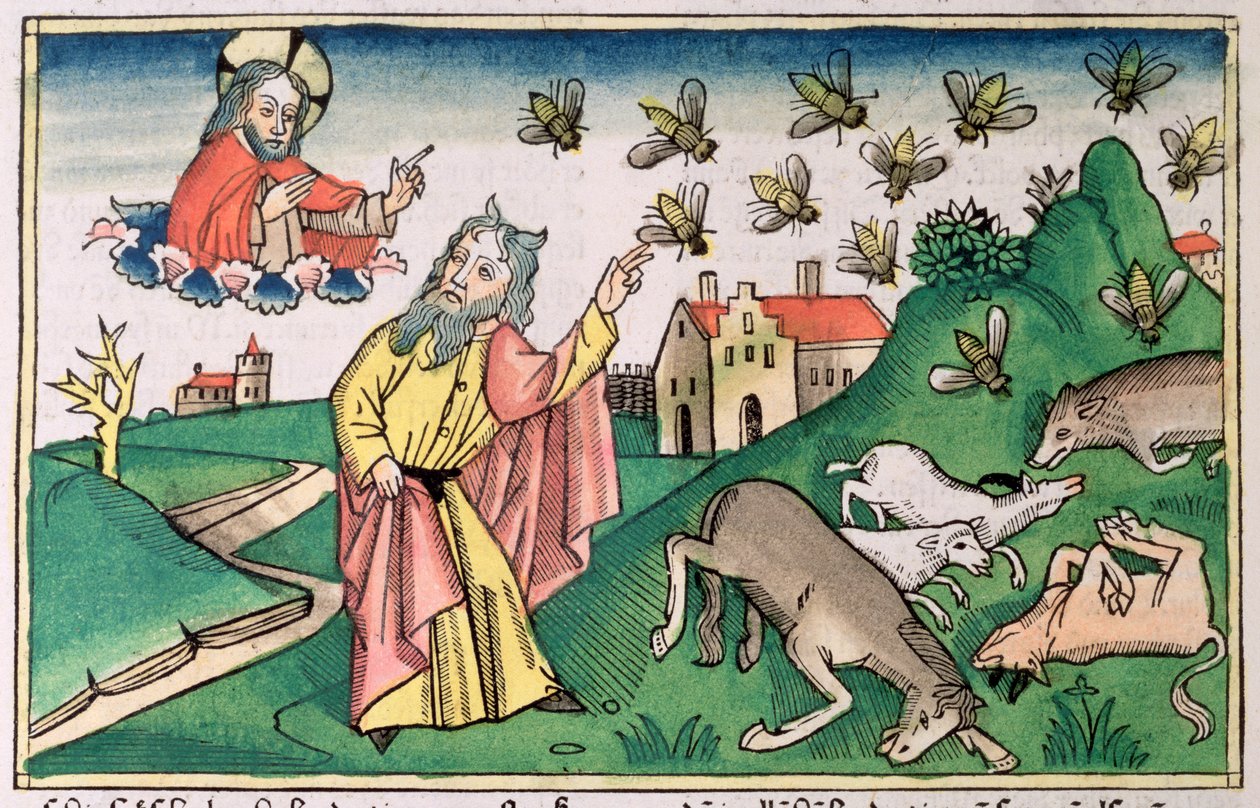 Exodus 8:20-32: Moses and the swarm of flies, one of the Seven Plagues of Egypt   1207357   cs       czech Successfully Translated  Original: A View of Rochester with Shipping (oil on panel) Translat: A View of Rochester with Shipping (oil on panel) 131562 od Unbekannt