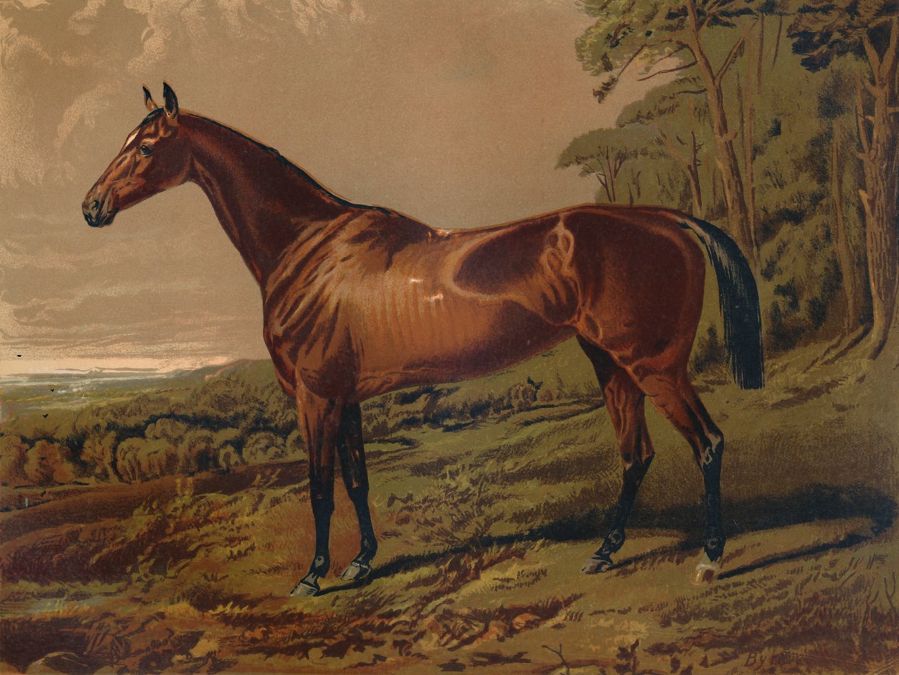 Fair Nell, c1879. od Unbekannt