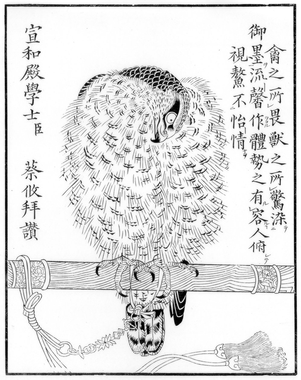 Falcon, 1886 od Unbekannt
