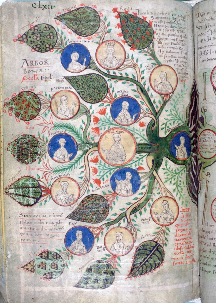 Rodokmen, stránka z Liber Floridus, 12. století od Unbekannt