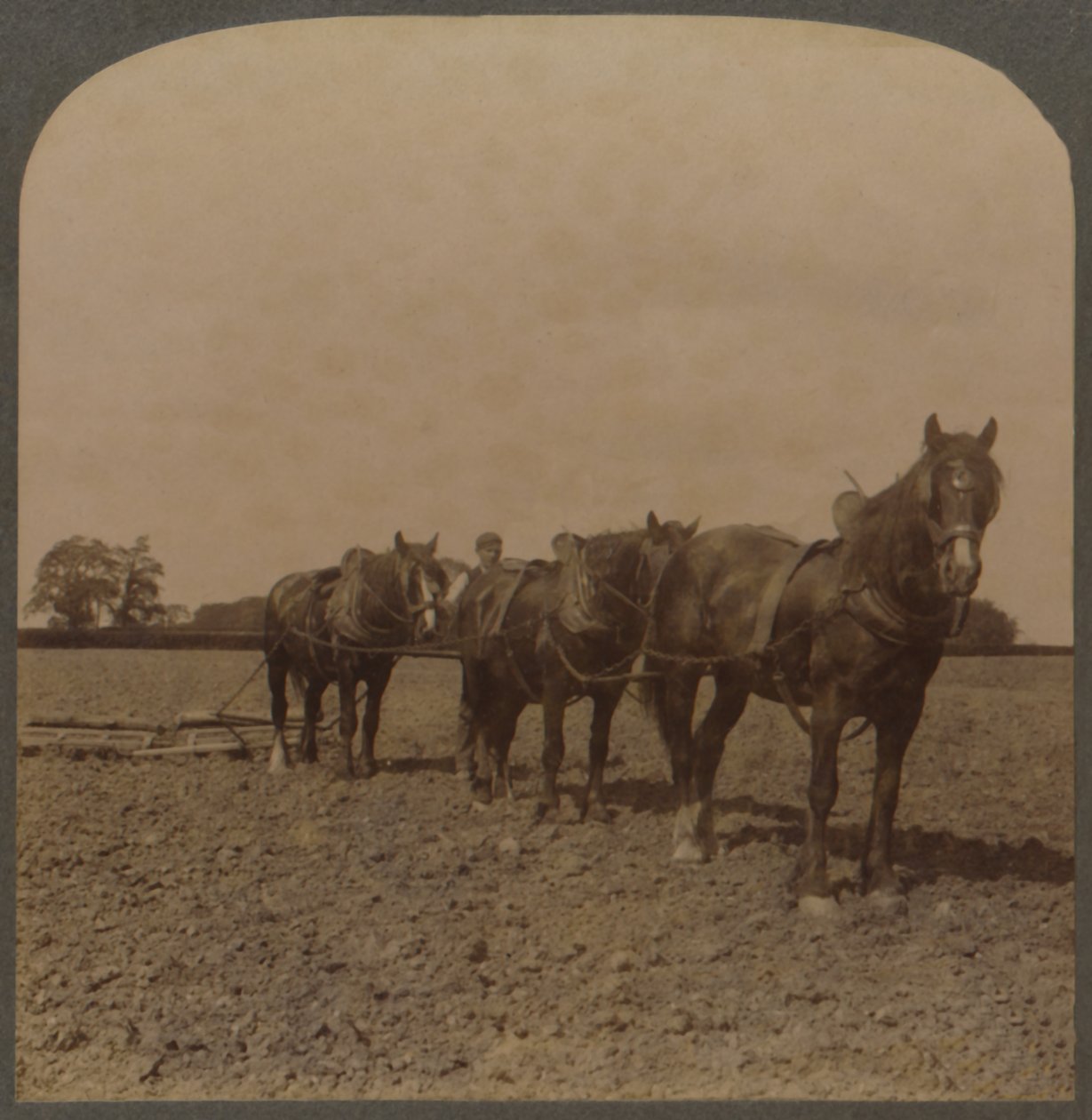 Farming in England - Harrowing the Land, 1909. od Unbekannt