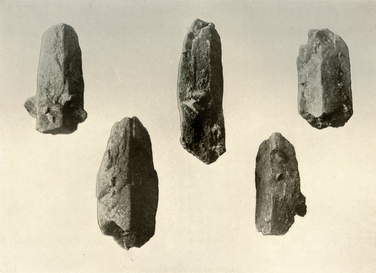 Krystaly živce z vrcholu Mount Erebus v přirozené velikosti, 1909 od Unbekannt