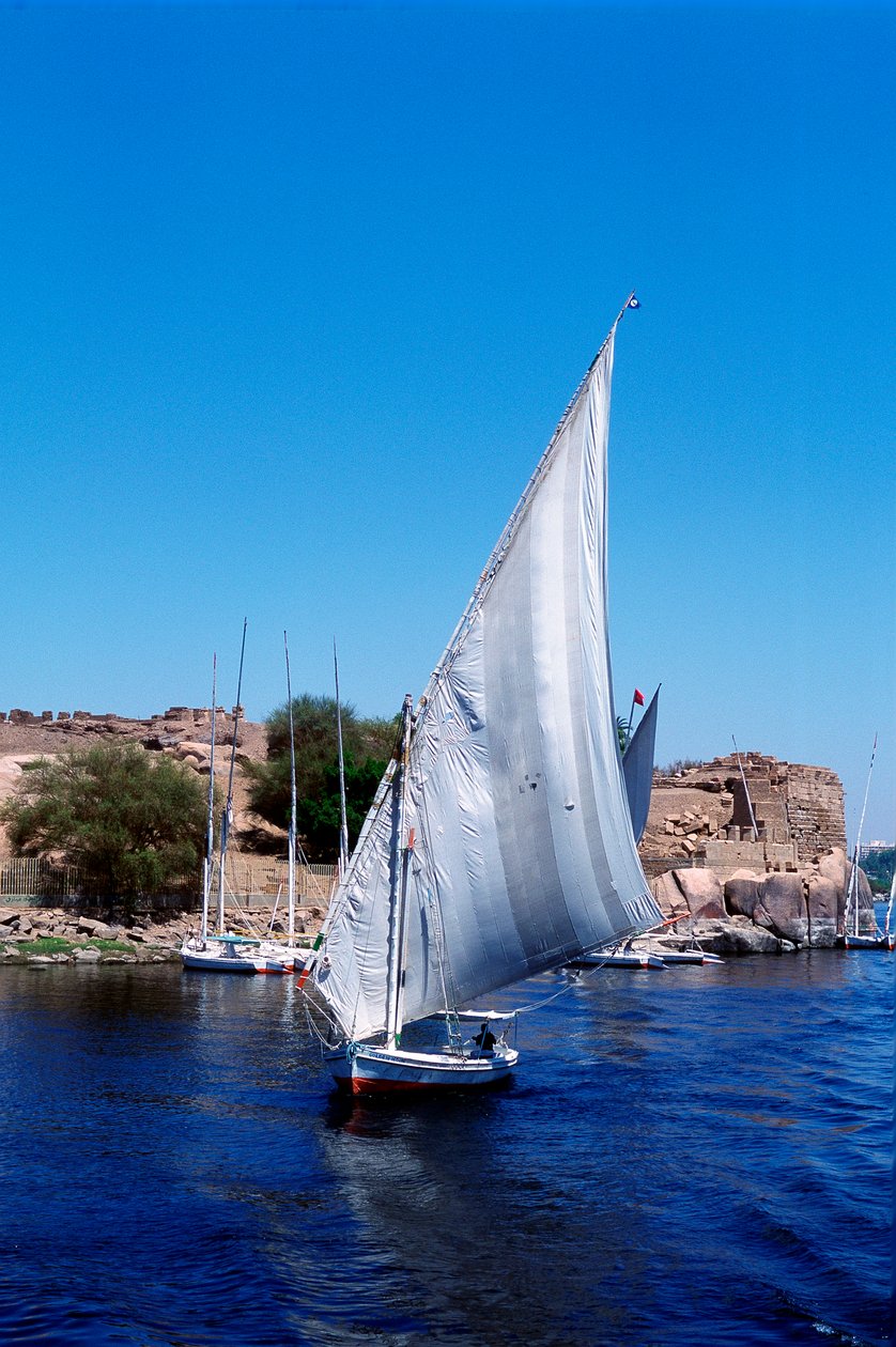 Feluccas na Nilu, Elephantine Island poblíž Asuánu, moderní Egypt od Unbekannt