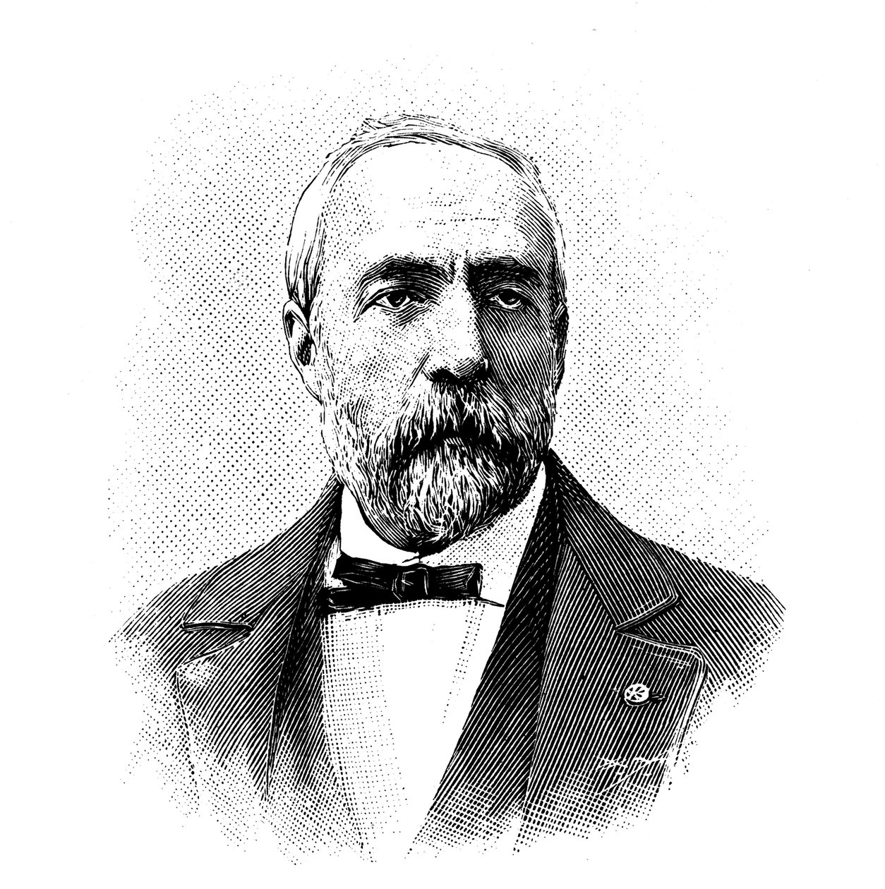 Ferdinand Fouque, francouzský geolog a petrolog, 1904. od Unbekannt