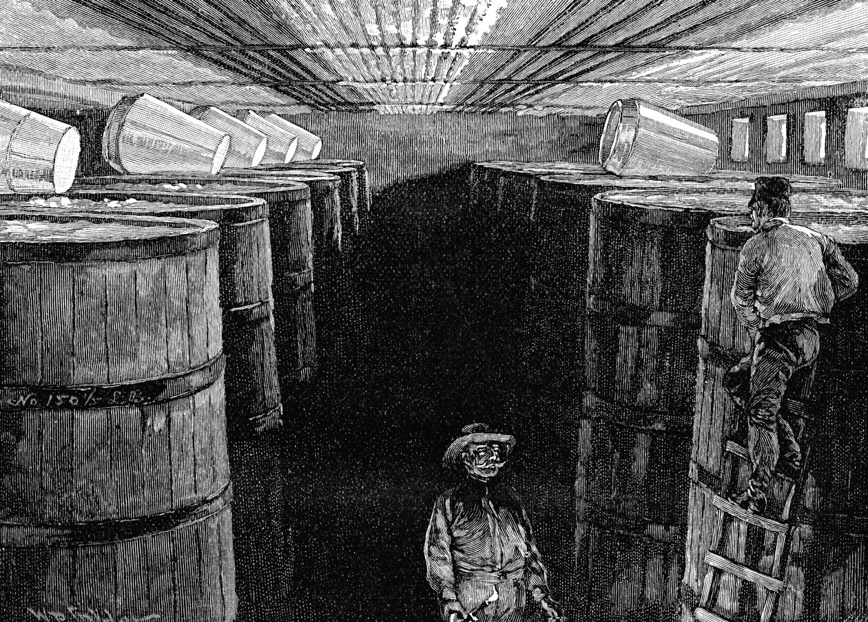 Kvasný sklep v americkém pivovaru, 1885 od Unbekannt