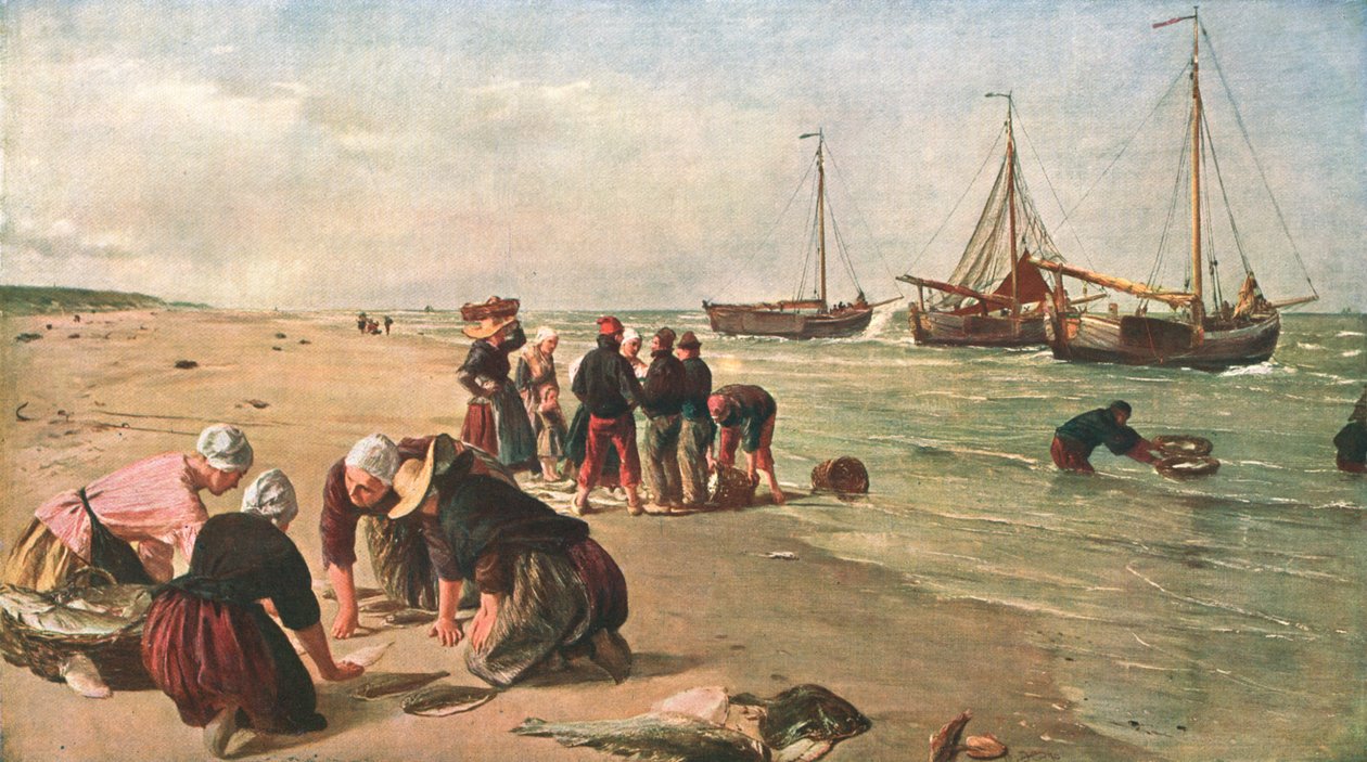 Ryby z Dogger Bank, Scheveningen, Holandsko, 1870, c1902. od Unbekannt