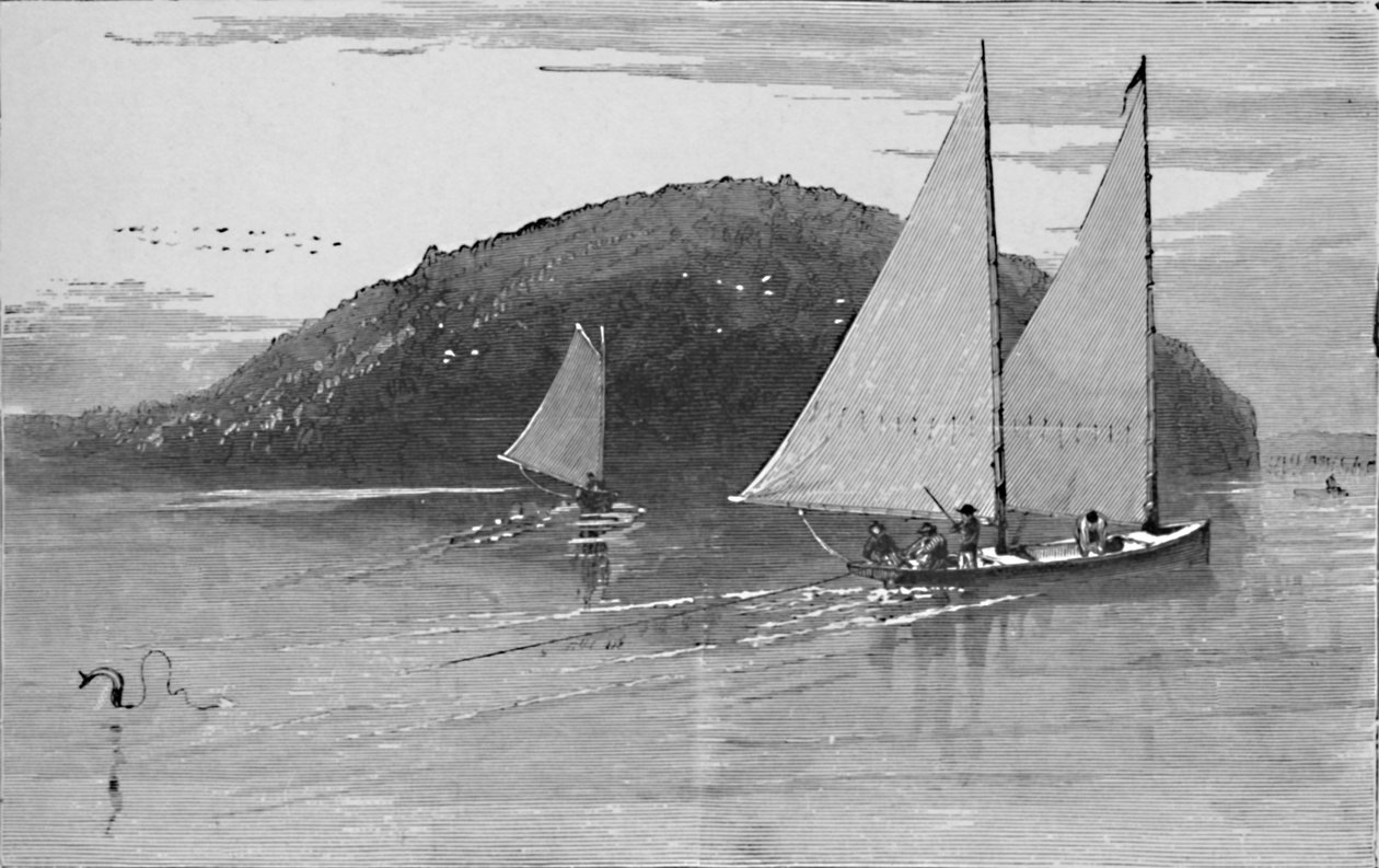 Rybaření z plachetnice, 1883 od Unbekannt