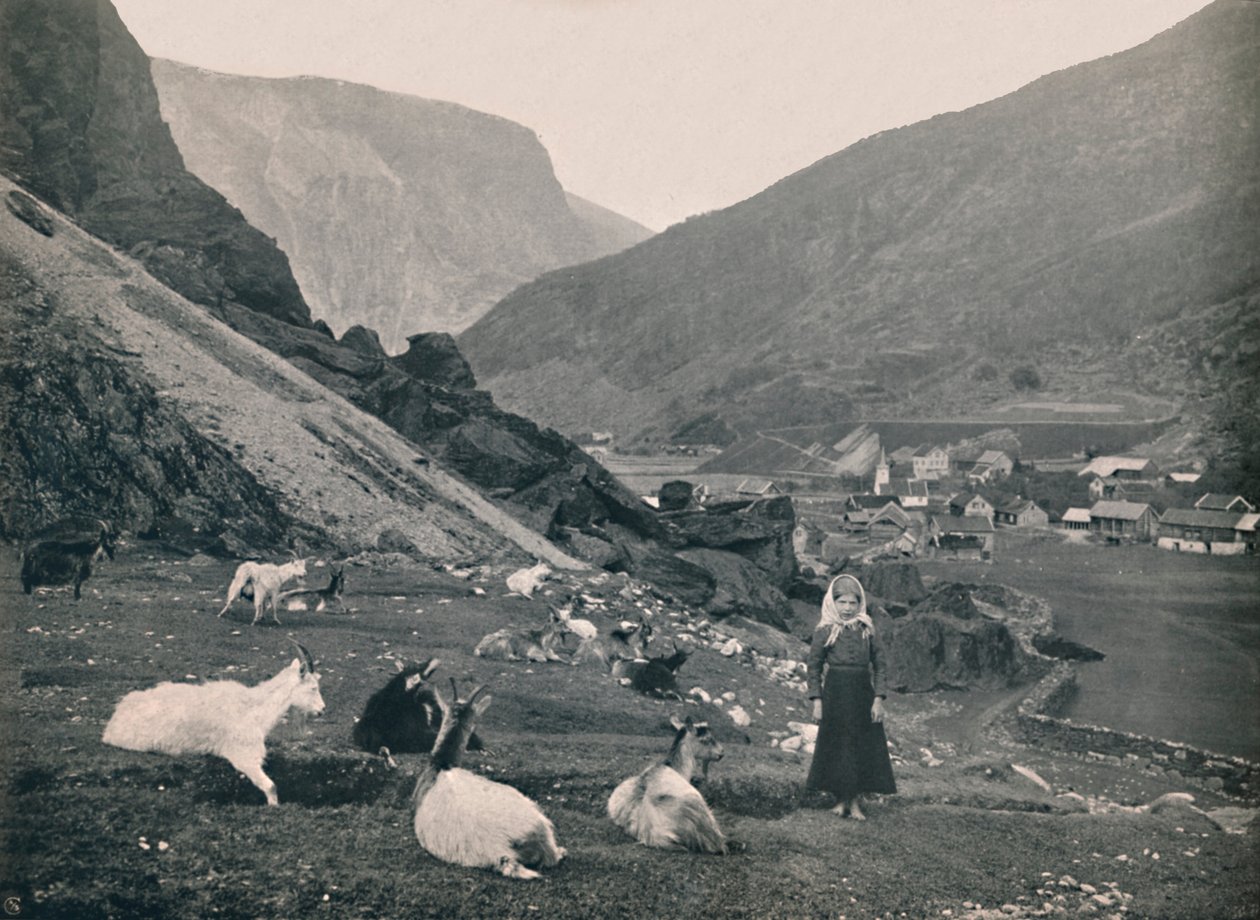 Flaam, 1914. od Unbekannt