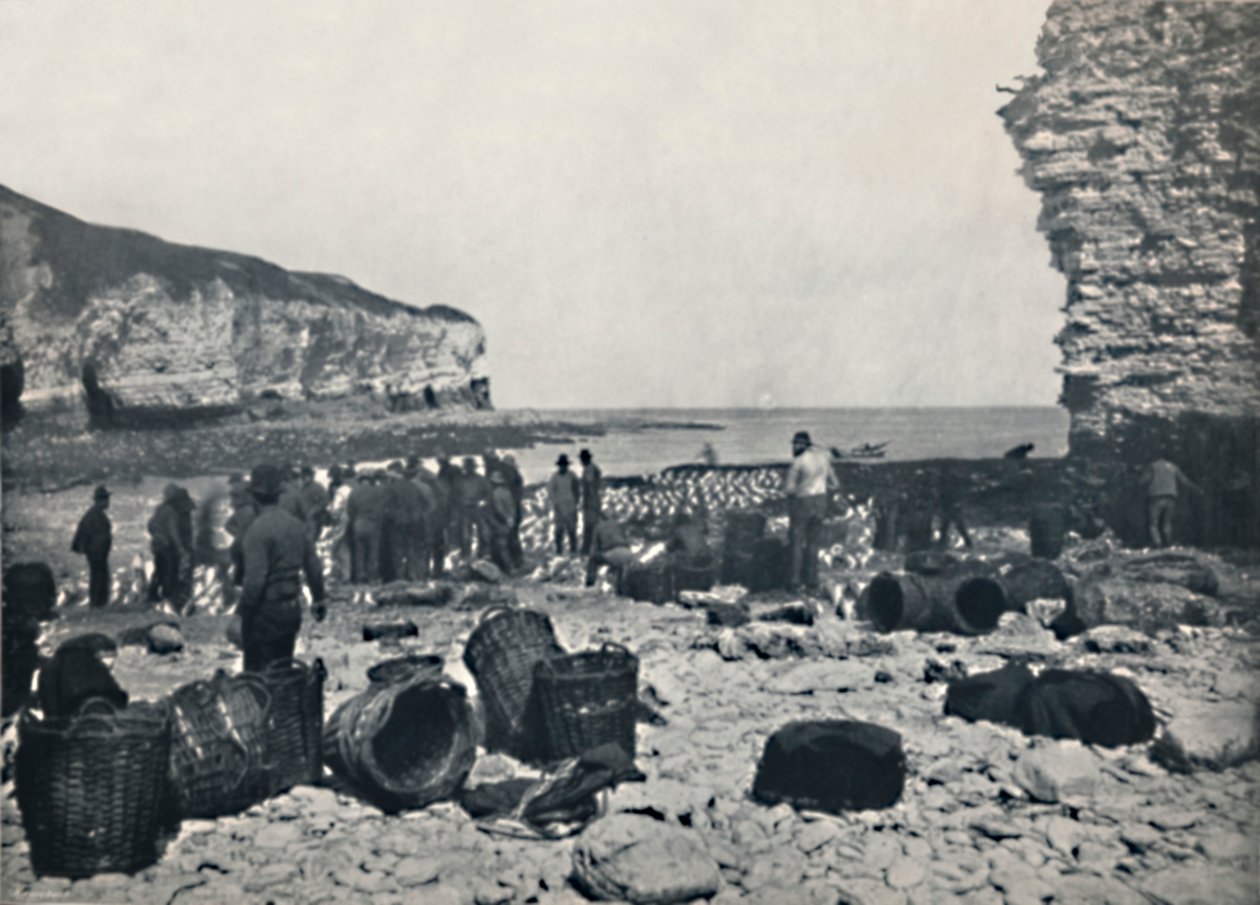 Flamborough - The Fishermen at Work, 1895 od Unbekannt