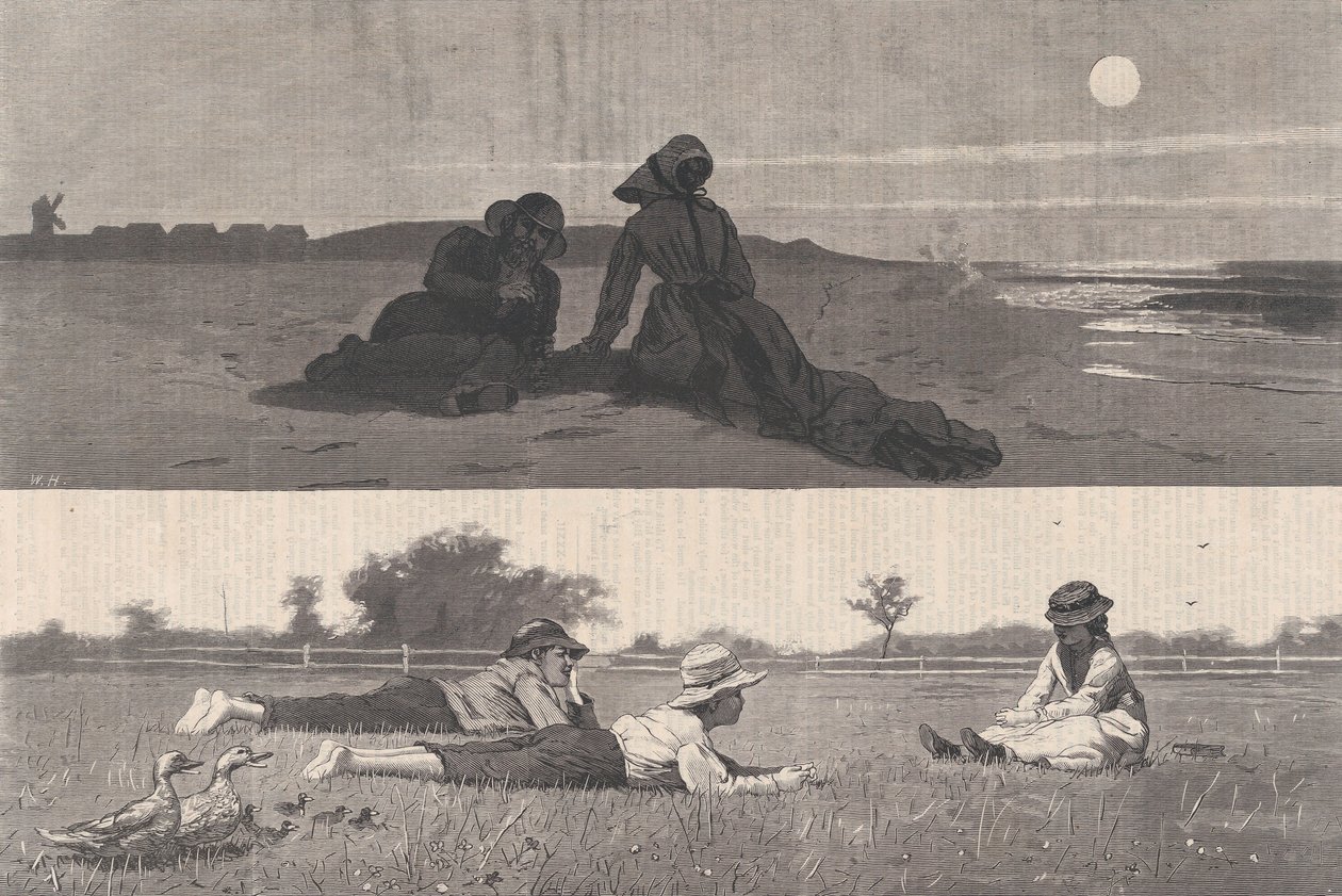 Flirtování na mořském pobřeží a na Meadow Harper